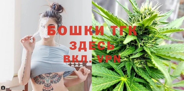 сатива Нефтекумск