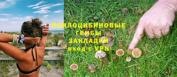 СК Нея