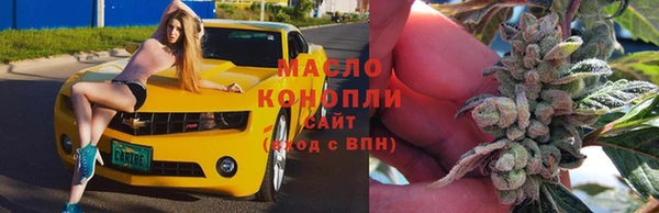 крисы Михайловск