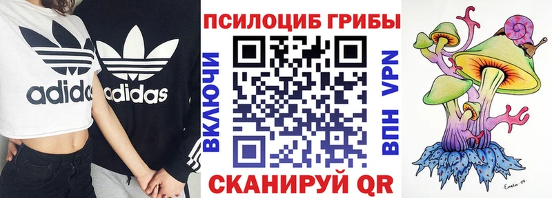 хочу   Нытва  Псилоцибиновые грибы ЛСД 